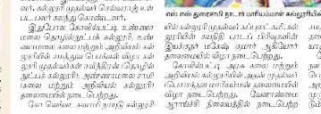 சமத்துவப் பாெங்கல் விழா